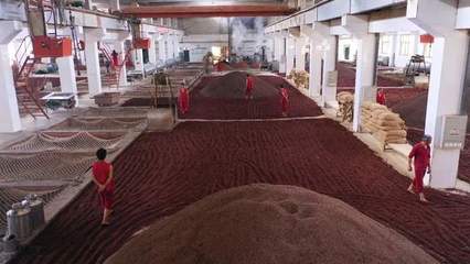 醬酒深蹲蓄能，紅城遵義如何揮出產業升級破局拳？